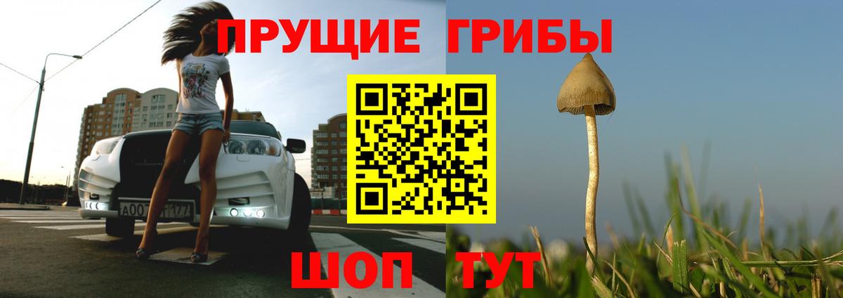 Галлюциногенные грибы прущие грибы  Вход с VPN  Псилоцибиновые грибы Magic Shrooms  Реутов 